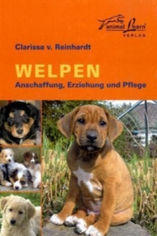 Kniha Welpen Clarissa von Reinhardt