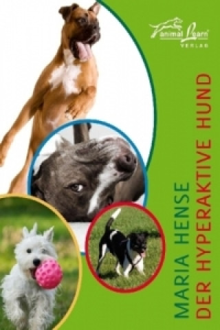 Kniha Der hyperaktive Hund Maria Hense