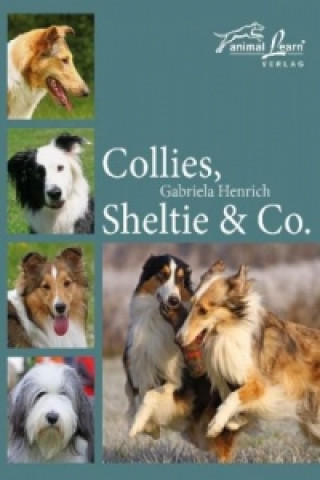 Kniha Collies, Sheltie & Co. Gabriela Henrich