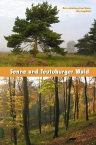 Carte Senne und Teutoburger Wald Karl Banghard
