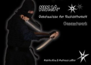 Kniha Ninja Ashida Kim
