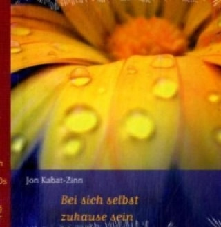 Kniha Bei sich selbst zu hause sein, m. 1 Audio-CD Jon Kabat-Zinn