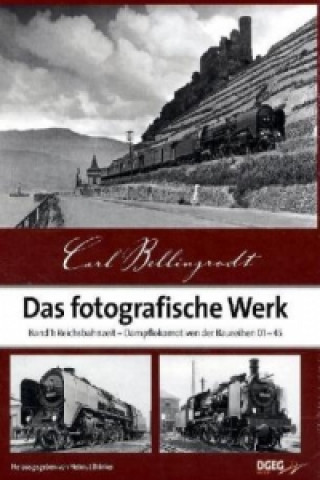 Kniha Das fotografische Werk. Bd.1 Carl Bellingrodt