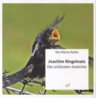 Knjiga Die Kleine Reihe Bd. 9: Joachim Ringelnatz Joachim Ringelnatz