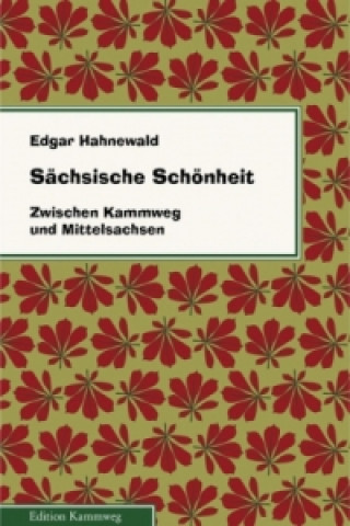 Kniha Sächsische Schönheit Edgar Hahnewald