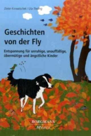 Książka Geschichten von der Fly, m. Audio-CD Dieter Krowatschek