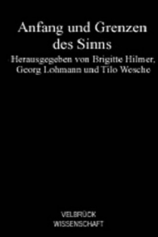 Kniha Anfang und Grenzen des Sinns Brigitte Hilmer
