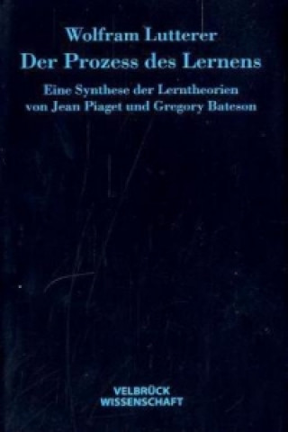 Kniha Der Prozess des Lernens Wolfram Lutterer