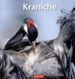 Könyv Kraniche Willi Rolfes