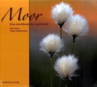 Kniha Moor Willi Rolfes