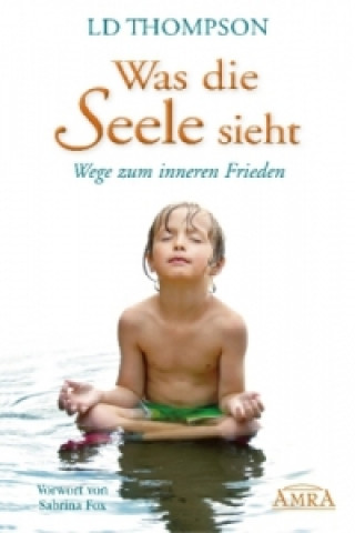 Book Was die Seele sieht LD Thompson