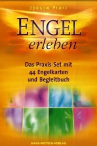 Kniha Engel erleben Jürgen Pfaff