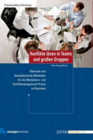 Buch Konflikte lösen in Teams und großen Gruppen Peter Knapp