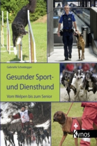 Knjiga Gesunder Sport- und Diensthund Gabrielle Scheidegger