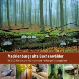 Kniha Mecklenburgs alte Buchenwälder Klaus Borrmann