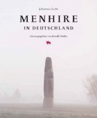 Kniha Menhire in Deutschland Johannes Groht