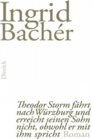 Knjiga Theodor Storm fährt nach Würzburg und erreicht seinen Sohn nicht, obwohl er mit ihm spricht Ingrid Bachér