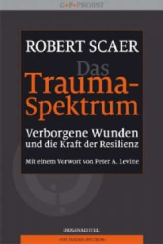 Könyv Das Trauma-Spektrum Robert Scaer
