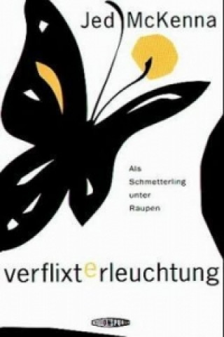 Buch Verflixte Erleuchtung Jed McKenna