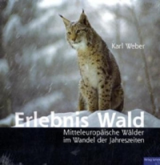 Kniha Erlebnis Wald Karl Weber