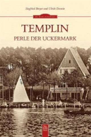 Kniha Templin Siegfried Breyer