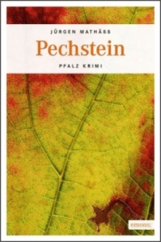 Buch Pechstein Jürgen Mathäß
