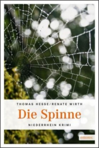 Kniha Die Spinne Thomas Hesse