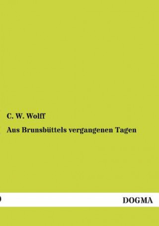 Kniha Aus Brunsbuttels vergangenen Tagen C. W. Wolff
