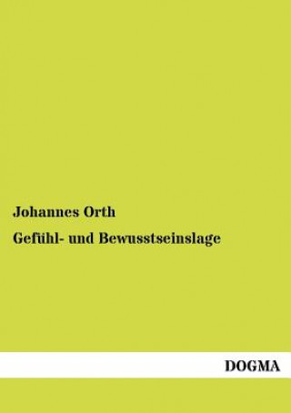 Kniha Gefuhl- und Bewusstseinslage Johannes Orth