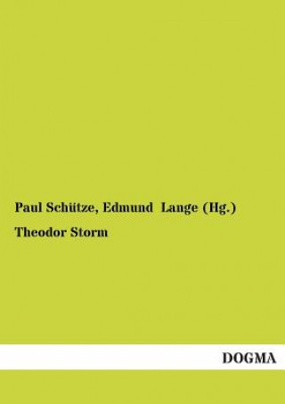 Kniha Theodor Storm Paul Schütze