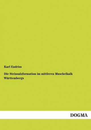 Könyv Steinsalzformation im mittleren Muschelkalk Wurttembergs Karl Endriss