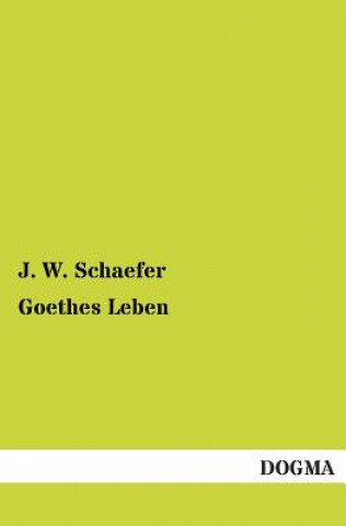 Carte Goethes Leben J. W. Schaefer