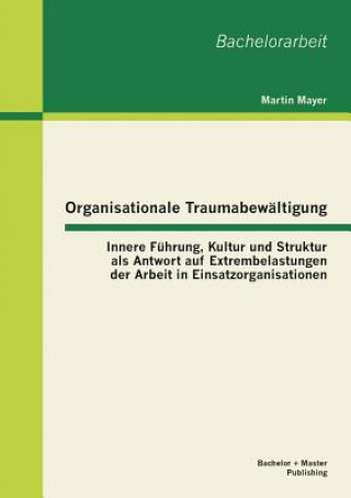 Βιβλίο Organisationale Traumabewaltigung Martin Mayer