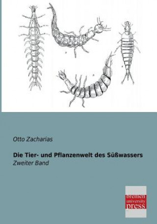 Książka Tier- Und Pflanzenwelt Des Susswassers Otto Zacharias