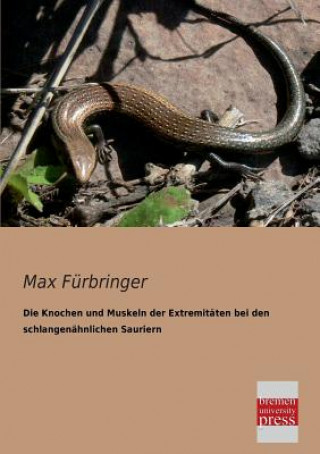 Kniha Knochen Und Muskeln Der Extremitaten Bei Den Schlangenahnlichen Sauriern Max Fürbringer