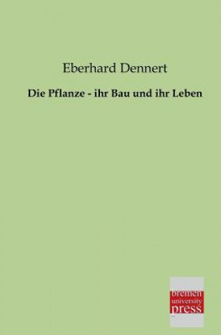 Książka Pflanze - Ihr Bau Und Ihr Leben Eberhard Dennert