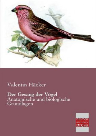 Könyv Gesang Der Vogel Valentin Häcker
