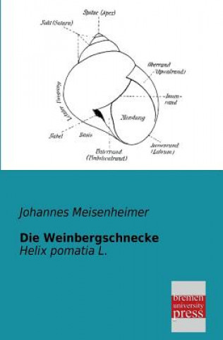 Książka Weinbergschnecke Johannes Meisenheimer