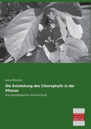 Książka Entstehung Des Chlorophylls in Der Pflanze Julius Wiesner