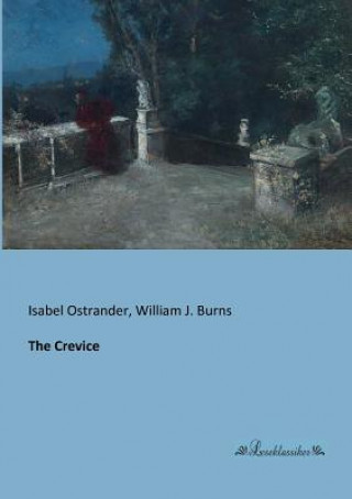 Βιβλίο Crevice Isabel Ostrander