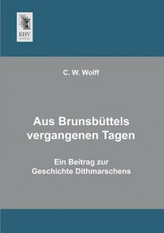 Buch Aus Brunsbuttels Vergangenen Tagen C. W. Wolff