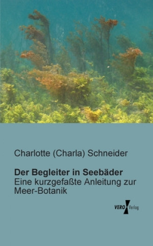 Kniha Begleiter in Seebader Charlotte Schneider