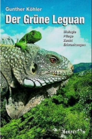 Kniha Der Grüne Leguan Gunther Köhler