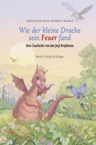 Book Wie der kleine Drache sein Feuer fand Sakina K. Sievers