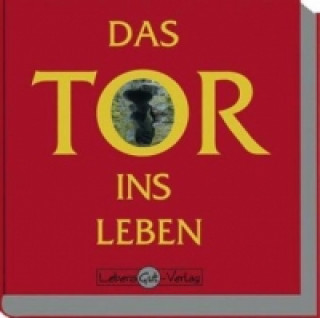Książka Das Tor ins Leben Grit Scholz
