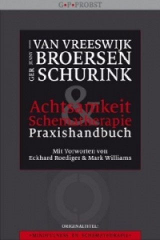 Book Achtsamkeit & Schematherapie Michiel Van Vreeswijk