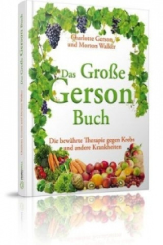 Könyv Das Große Gerson Buch Charlotte Gerson