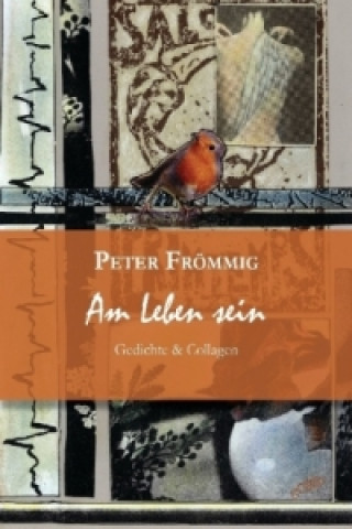 Kniha Am Leben sein Peter Frömmig