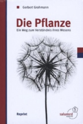 Kniha Die Pflanze Gerbert Grohmann