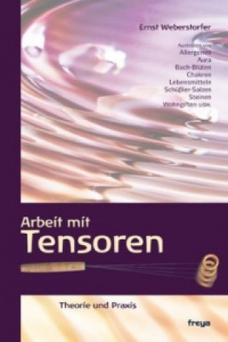 Könyv Arbeit mit Tensoren Ernst Weberstorfer